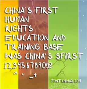 ShonenPunk custom字体